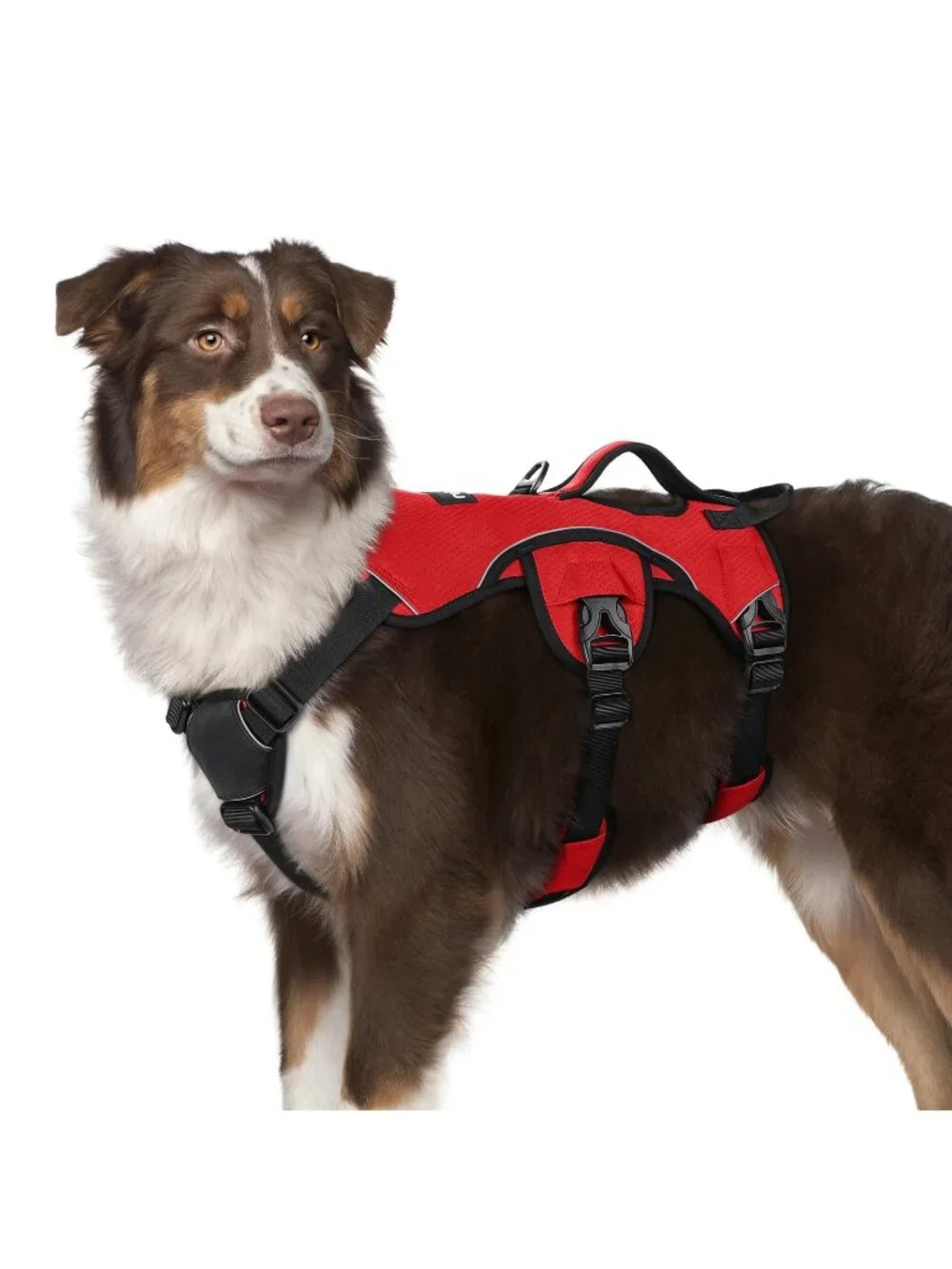 rabbitgoo Medium Escape Proof Dog Harness, Soft Padded Full Body Pet  Reflective